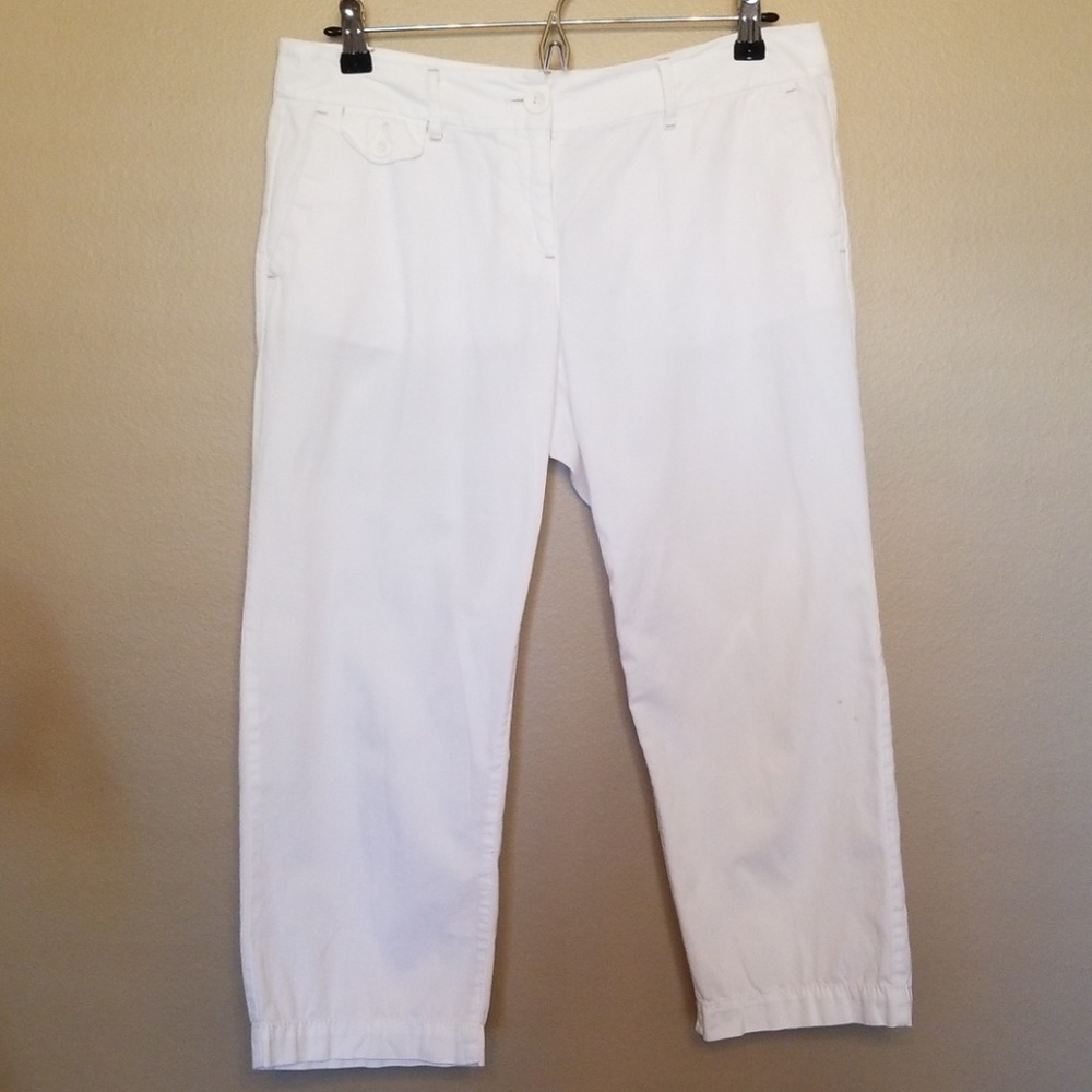 Ann Taylor LOFT size 4